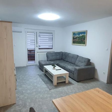 Apartma Sivi Zako Bohinj Bagian luar foto